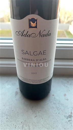 Piedmont Wines Barbera d'Alba Ada Nada Salgae 2017