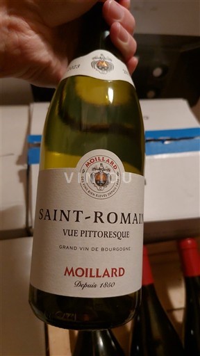 Burgundy Saint-Romain Moillard Vue Pittoresque 2023