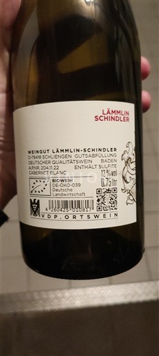 Baden Weingut Lämmlin-Schindler Cabernet Blanc 2021
