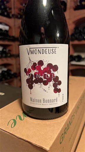 Savoie and Bugey Bugey Maison Bonnard Vmondeuse 2023