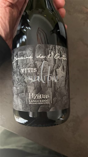 Linguadoca Linguadoca Pézenas Domaine L'Aster Vitis 2022