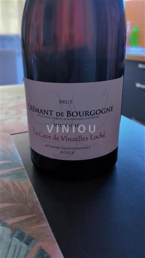 Burgundi Crémant de Bourgogne La Cave de Vinzelles Loché 2023