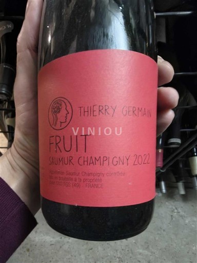 Loiren laakso Saumur-champigny Thierry Germain Fruit 2022