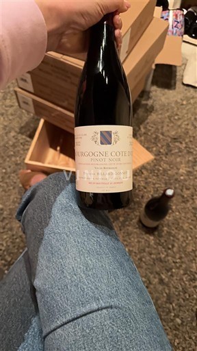 Burgundy Burgundy Côte d'Or Domaine Billard-Gonnet 2022