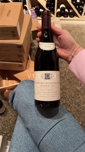 Borgoña Pommard Premier Cru Domaine Billard-Gonnet Grand vin de bourgogne 2016