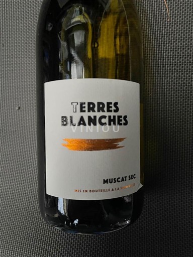 Linguadoca Moscato di Frontignan Terres Blanches Muscat Sec Senza annata