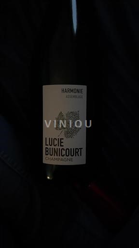 Champagne Lucie Bunicourt Harmonie Niet-geïntegreerd