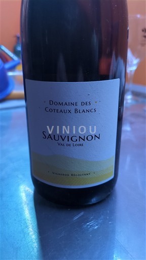 Loirevallei Domaine S Coteaux Blancs Sauvignon 2023
