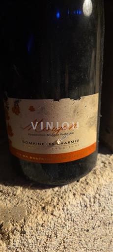 Beaujolais Morgon Domaine Les Charmes 2020