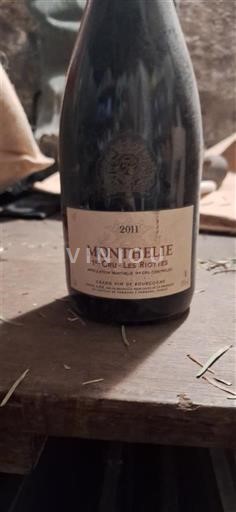Bourgogne Ospecificerad Premier Cru Domaine Monthélie Douhairet Porcheret 1er Cru Les Riottes 2011