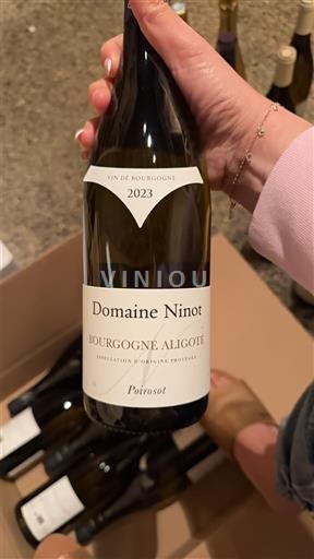 Bourgogne Bourgogne Aligoté Domaine Ninot Poiriot 2023