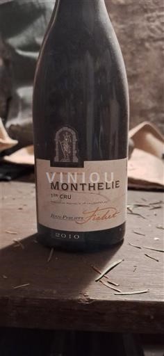 Burgundi Määrittelemätön Premier Cru Domaine Jean-Philippe Fichet 2010