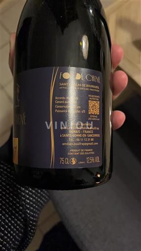 Loire-dalen Saint-Nicolas-De-Bourgueil Domaine Boutry Foudechêne Ikke årgangsbestemt