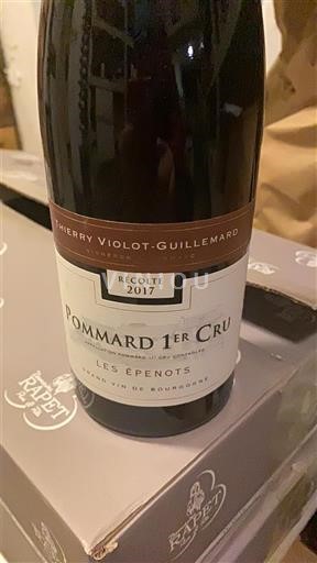 Burgundsko Nespecifikováno Premier Cru Thierry Violot-Guillemard Les Epenots 2017