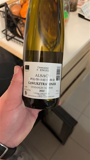Vine Blanc moelleux Domaine P. Engel 2022 Frankrig Alsace Vin de France Vendanges Tardives