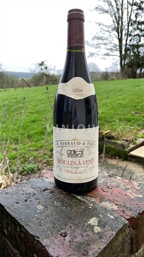 Beaujolais Moulin-à-vent P. Ferraud & Fils 2019 2019