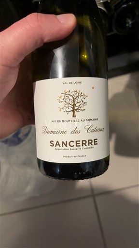 Loire-dalen Sancerre Domaine S Coteaux 2024