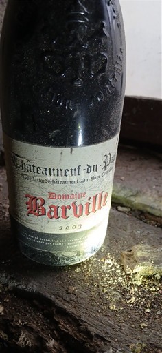 Rhônevallei Châteauneuf-du-Pape Domaine Barville 2003