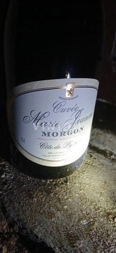 Beaujolais Morgon Cuvée Marie Jeanne Cotés du Py Não Sazonado