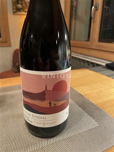 Valle del Ródano Ventoux Château Juvenal Terre du petit homme 2020