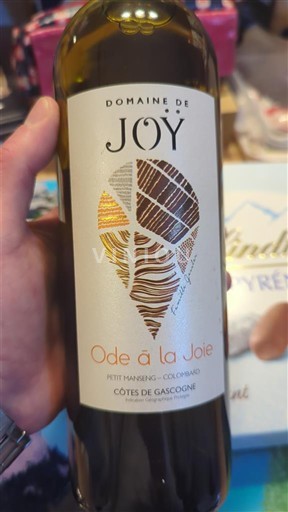 South West Côtes de Gascogne Domaine Joy Ode à la Joie 2022