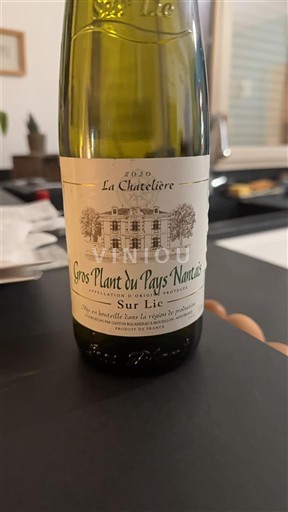 Valle della Loira Gros-plant-del-paese-nantese La Chatelière 2020