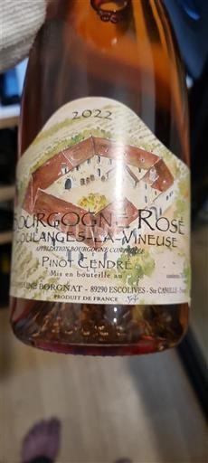 Burgundy Burgundy Coulanges-la-Vineuse Domaine Borgnat Pinot Gris 2022