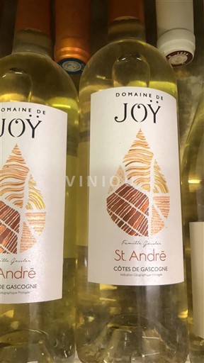Sud-Ouest Côtes de Gascogne Domaine Joy St André 2022