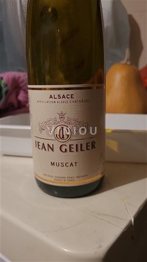 Alsace Jean Geiler 2023
