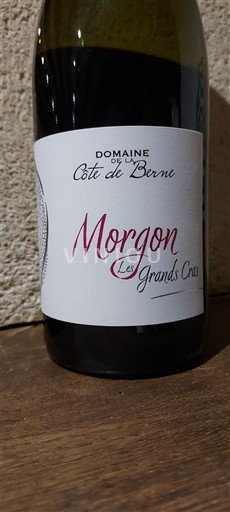 Beaujolais Morgon Domaine Côte de Berne Les Grands Cras Không niên vụ