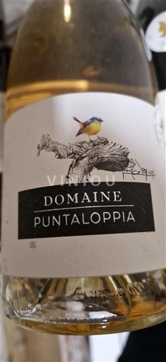 Linguadoca e Rossiglione Val de Cesse Domaine Puntaloppia 2021