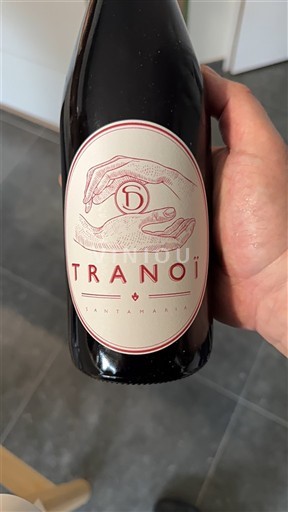 Corse Không được chỉ định Santamaria Tranoï 2024