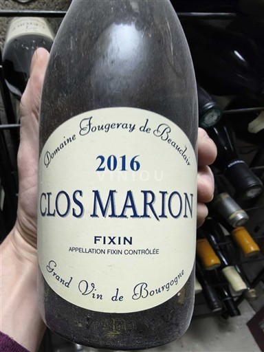 Bourgogne Fixin Domaine Fougeray de Beauclair Clos Marion 2016