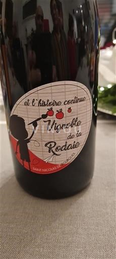 Loire-dalen Saint-Nicolas-De-Bourgueil Vignoble de la Rodaie Et l'histoire continue 2022