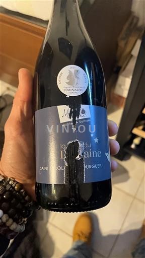 Loire-dalen Saint-Nicolas-De-Bourgueil La Pierre Retaine 2021