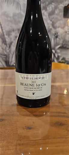 Burgundsko Beaune Premier Cru Le Fief de Montjeu Les Chouacheux 2022