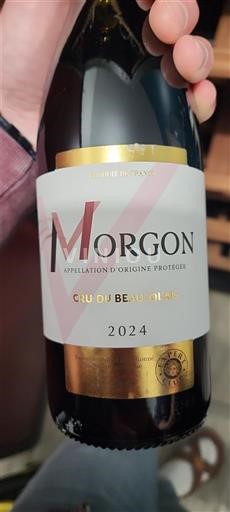Beaujolais Morgon Dambach 2024