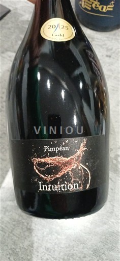 Loirevallei Anjou Pimpéan Intuition Niet-geïntegreerd