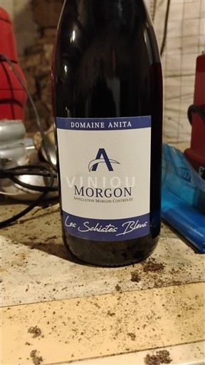 Beaujolais Morgon Domaine Anita Les Schistes Bleus Icke årgångsbetecknad