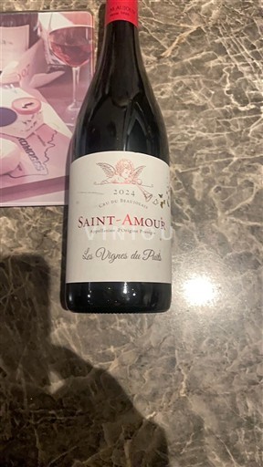 Beaujolais Saint-Amour Cave de Bellevue Les Vignes du Puits 2024