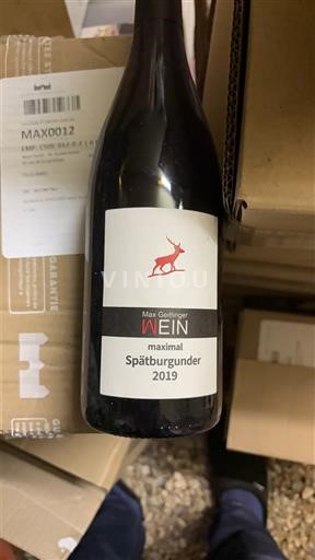 Baden Max Geitlinger maximal 2019