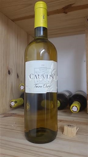 Sud-Ovest Côtes de Gascogne Cauviac Terra Onyx 2012