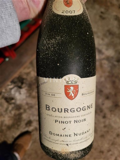 Bourgogne Domaine Nudant 2007