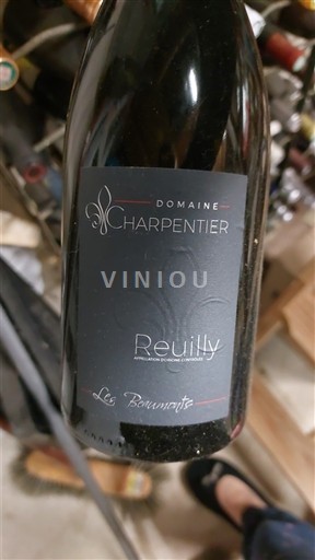 Loire-dalen Reuilly Domaine Charpentier Les Beaumonts Ikke årgangsbestemt
