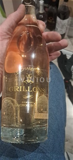 Languedoc-Roussillon Côtes de Thongue Domaine La Croix Belle Le Champs des Grillons 2023