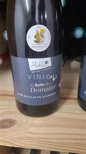 Loire-dalen Saint-Nicolas-De-Bourgueil Domaine Mabilleau La Belle du Domaine 2021