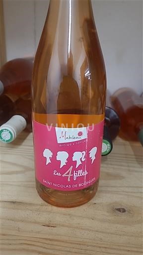 Loire-dalen Saint-Nicolas-De-Bourgueil Mabileau Les 4 Filles 2021