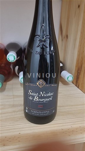 Loire-dalen Saint-Nicolas-De-Bourgueil Château Inconu 2022