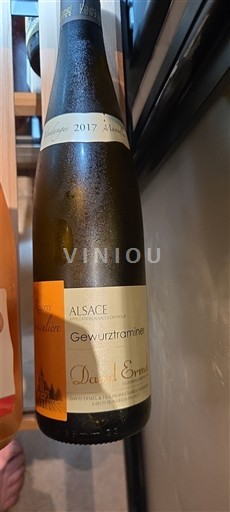 Alsacia David Ermel 2017