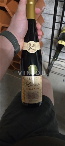 Alsazia Kleinbuhr 2023